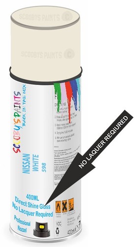 Direct shine paint spray - direct,