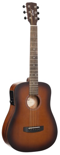 Cort earth mini - go, h2
