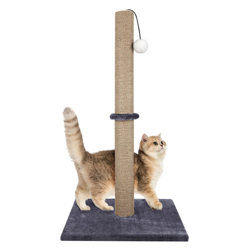 74cm tall large cat scratching - 74cm,