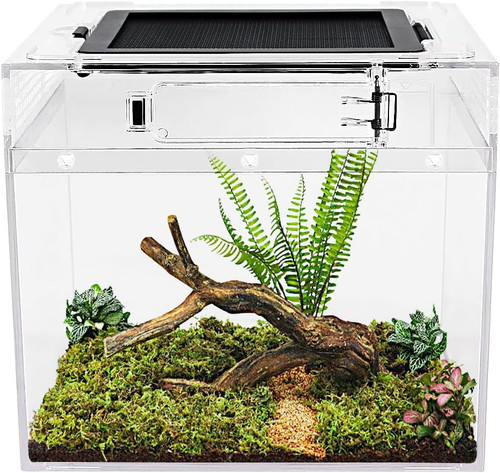 Reptile growth mini - mini,