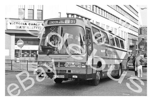 Bus photograph eastern - bus,