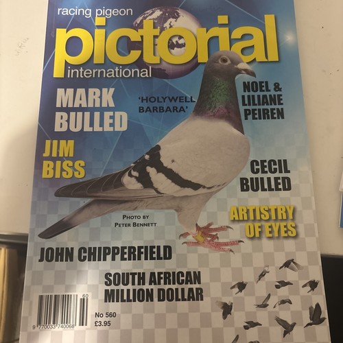 The racing pigeon - racing, pictorial