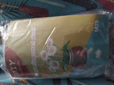 Margarita Daisy Crocet Kits