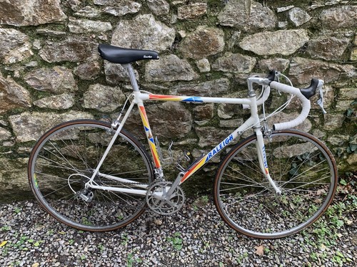 Raleigh dynatech 700 - 700,