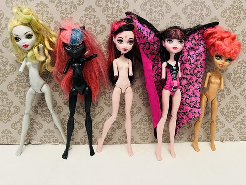 Monster high doll bundle - high,