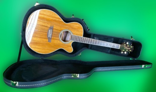 Hard case for - larger, acoustic