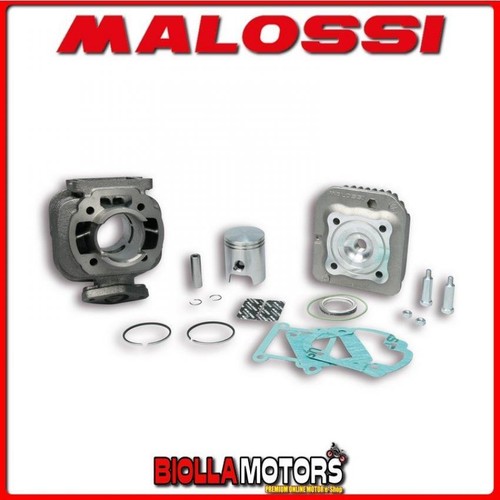 316901 malossi 50cc cylinder - 50cc,