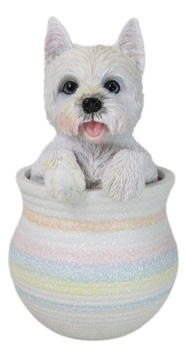 West highland white - highland, terrier