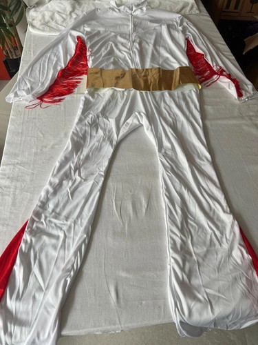 Elvis jumpsuit fancy - jumpsuit, dress