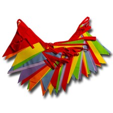 Rainbow bunting bright - bunting,