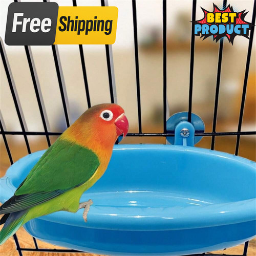 Bird cage bath - bird, water