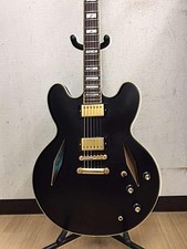 EPIPHONE EMILY WOLFE SHERATON Hollow Body