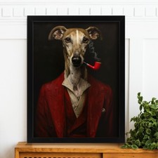 Elegant Greyhound Red Suit