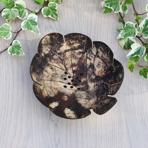 Peace with the wild coconut - the,
