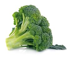 500 Seeds Broccoli Variety Ramoso Calabrese Medium Late Italian Variety