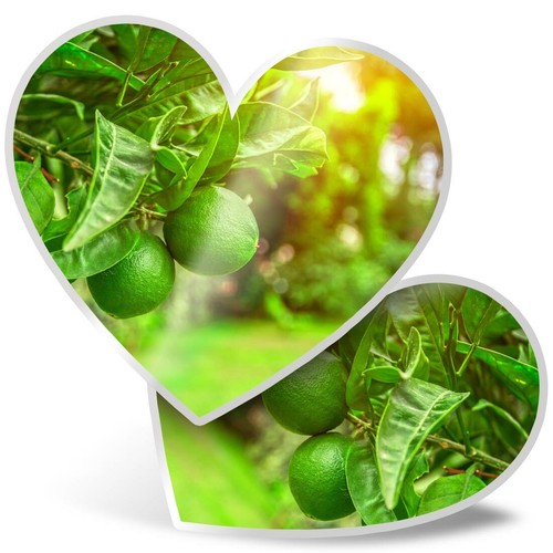 Heart stickers cm - 2,