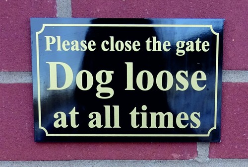 Please close the gate dog - close,