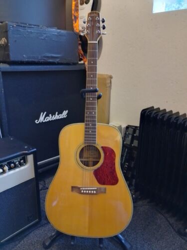 Walden d610 acoustic guitar - walden,