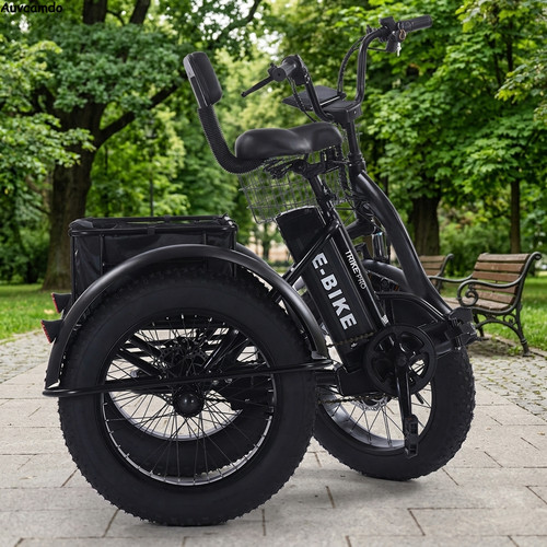 Off road electric cargo trike - electric,