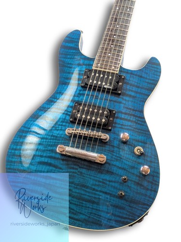 Fernandes apg 55s - apg-55s, blue