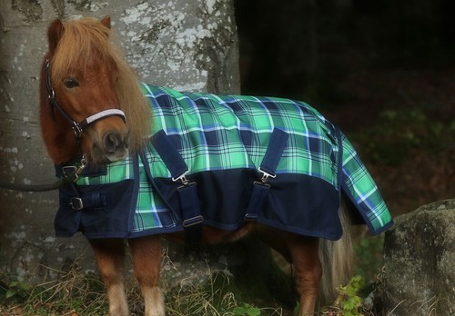400g combo turnout rugs - turnout,