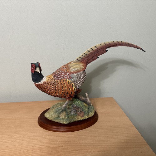 Border fine arts - fine, birds