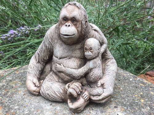 Orangutan and baby garden - and,