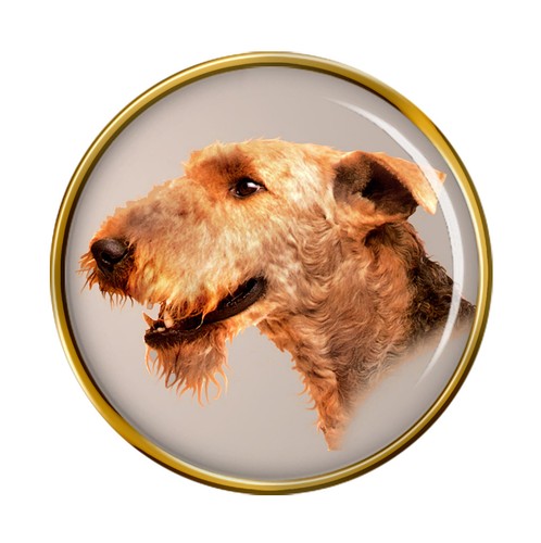 Airedale terrier dog - airedale,