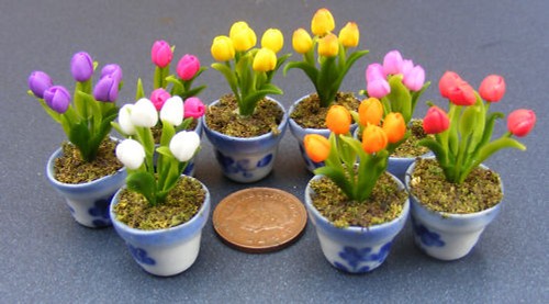 Dolls house tulip flowers - tulip,