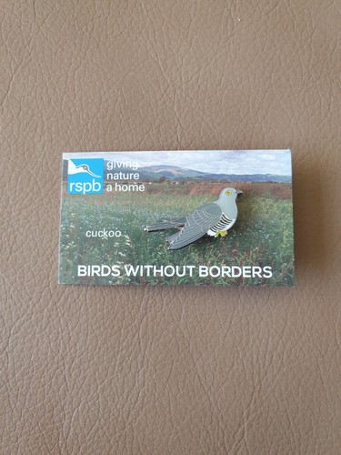 Rspb cuckoo enamel pin badge - enamel,