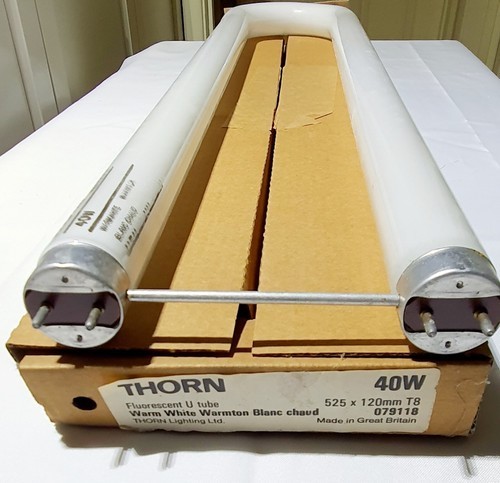 Thorn 40w tube - t8/35, lamp