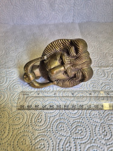 Brass effect lions - brass, door