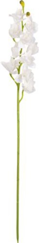 Artificial orchid cymbidium - artificial,