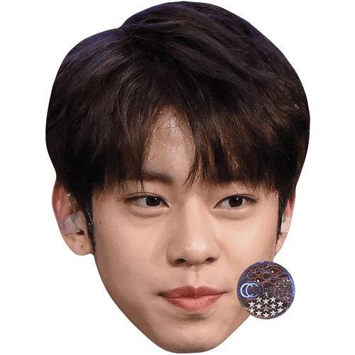 Donghyun celebrity mask - donghyun,