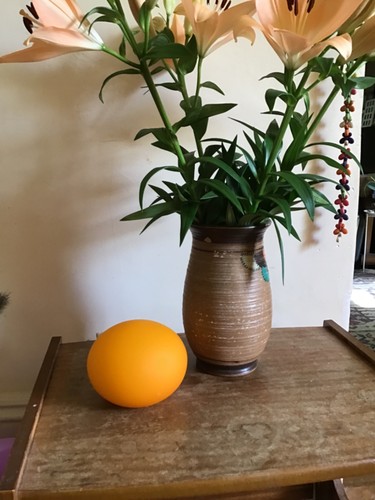 Vintage retro habitat glass - retro,
