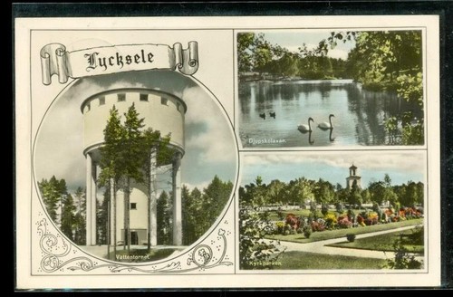 Vintage photo postcard rppc - vintage,