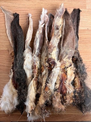 Hairy rabbit ears - hairy,