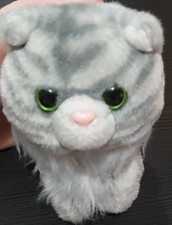 😸Petooties Ingrid Maine Coon Cat Russ Soft Toy Plush Stuffed Animal😸