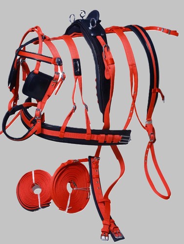 Nylon webbing driving harness - webbing,