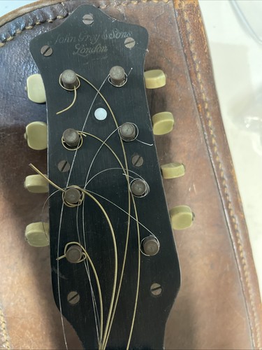 John grey mandolin - grey,