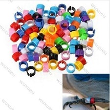 150pcs Mixed Colour plastic split rings racing pigeon Poultry Leg Foot Rings 8mm