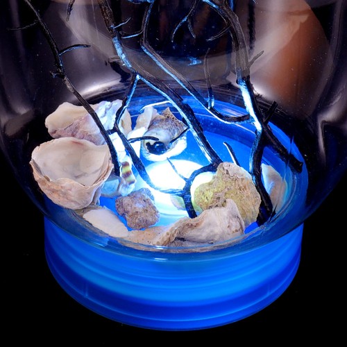 Mini fish tank - tank, ecosystem
