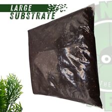 Tarantula Spider substrate 6