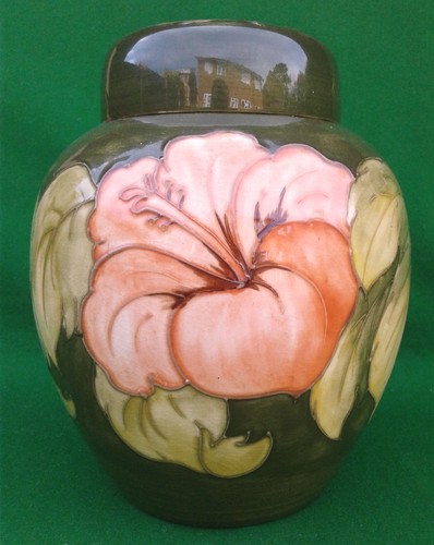 Huge moorcroft hibiscus - moorcroft,