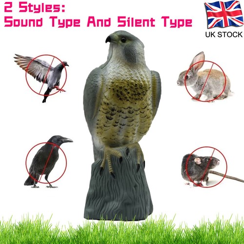 Falcon decoy bird - falcon,