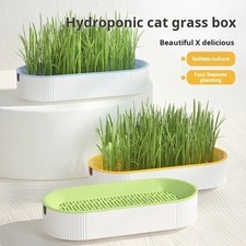 Cat Grass Hydroponic Growing