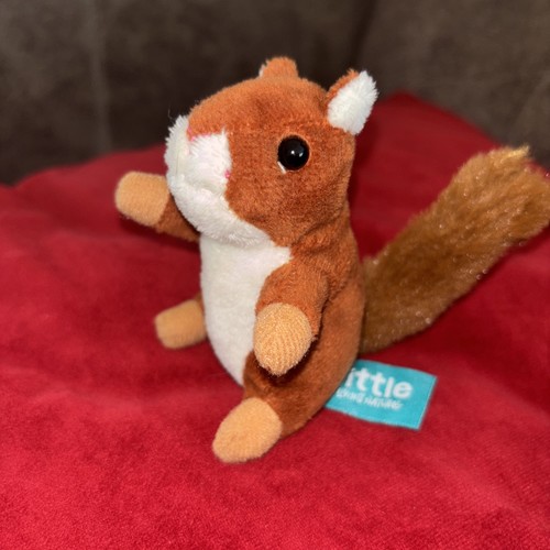Living nature tiny squirrel