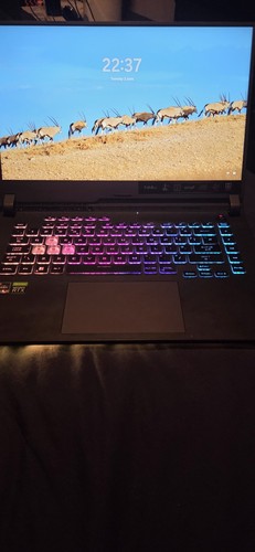 Asus rog strix g15 - asus,