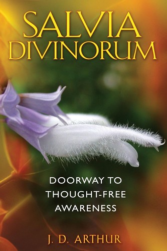Salvia divinorum doorway to - salvia,