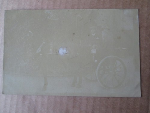 Postcard horse trap - of, &